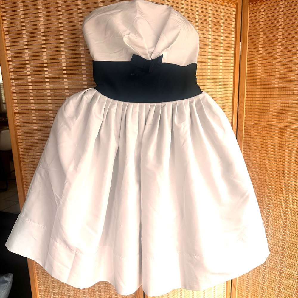 Behnaz Sarafpour Strapless Dress in White